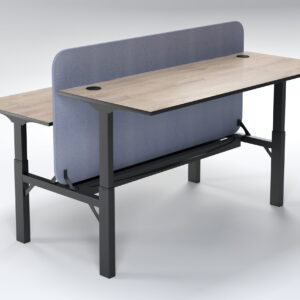 Dual 2 Seater Desk With Privacy Screen